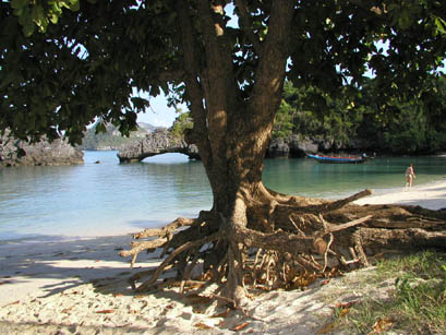 P1220133