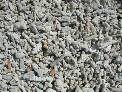 P1240323